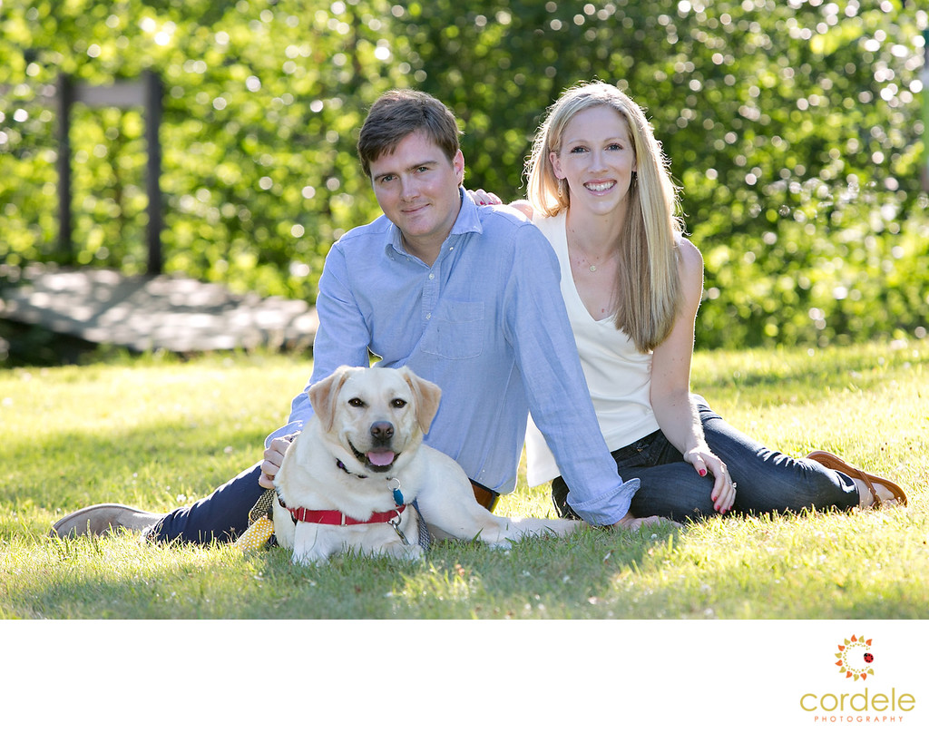 Dogs in Engagement Sessions Boston