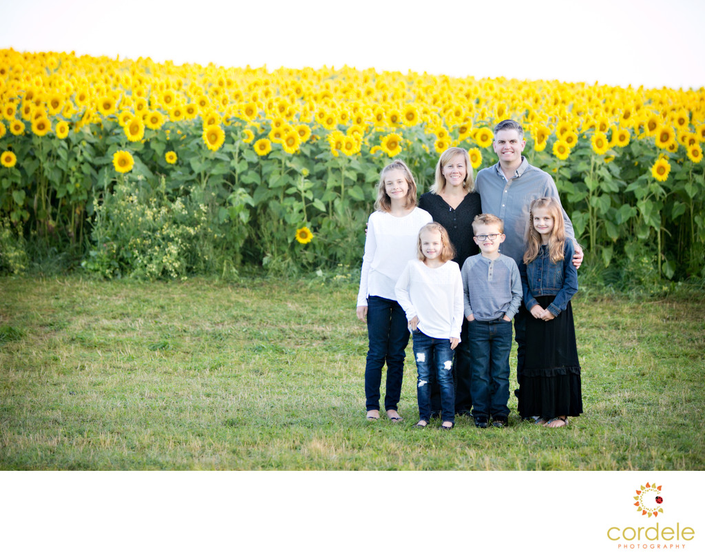 newbury sunflower patch family photos 