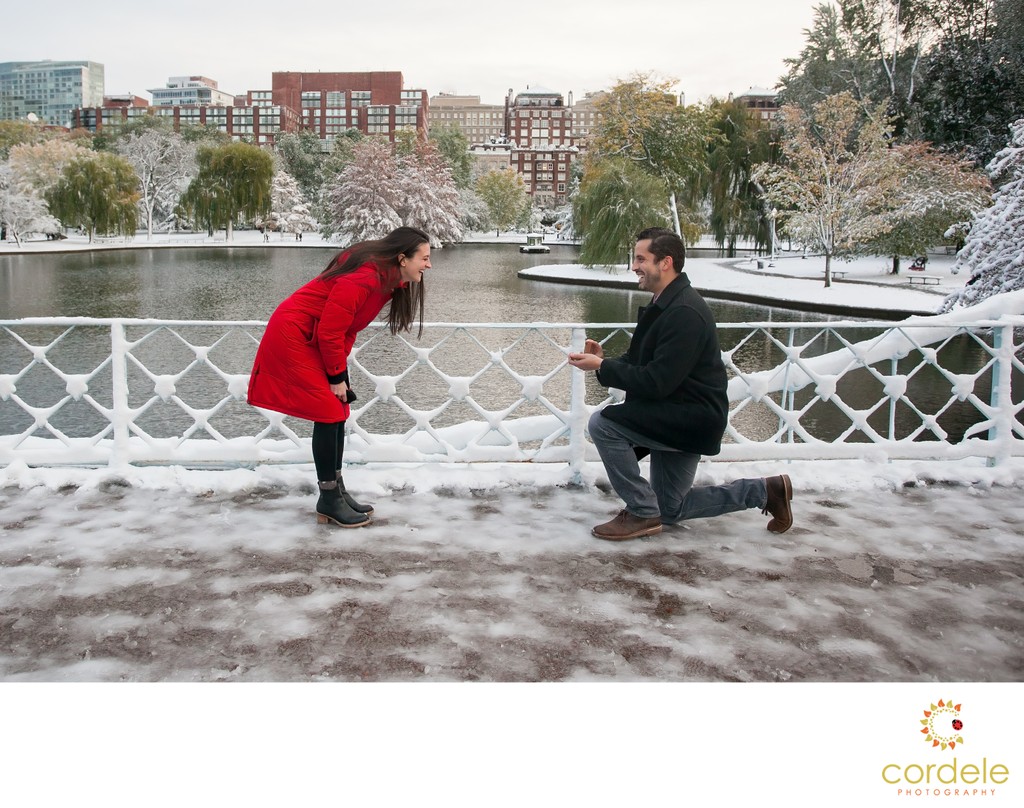 Surprise Proposal Boston Engagement Photography