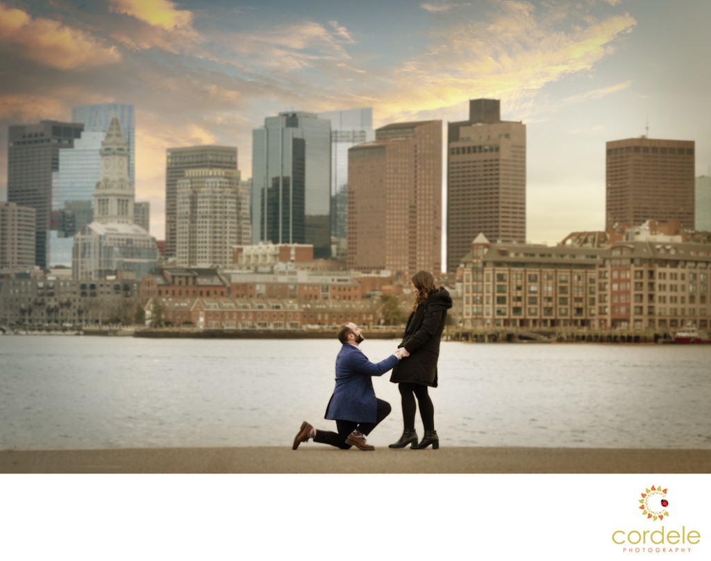 surprise proposal photos Boston skyline