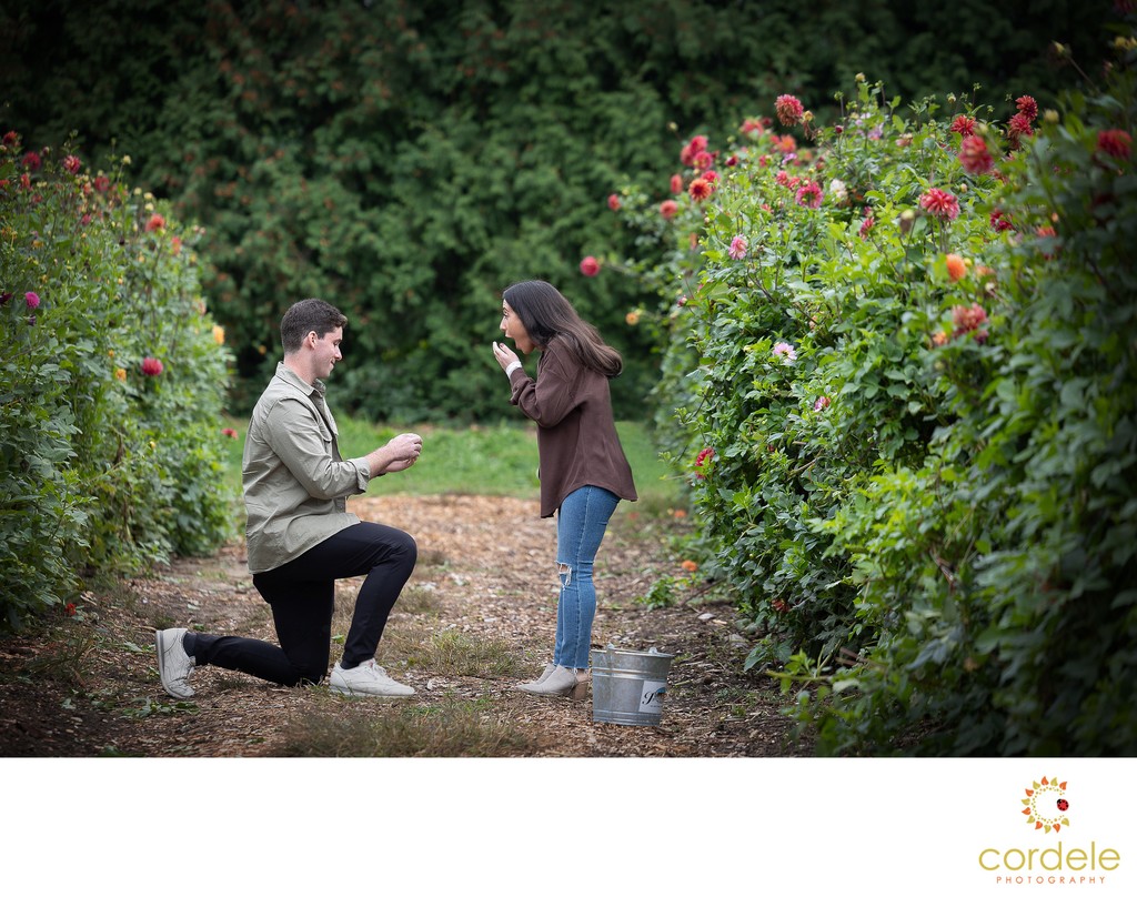 Boston Engagement Photographer