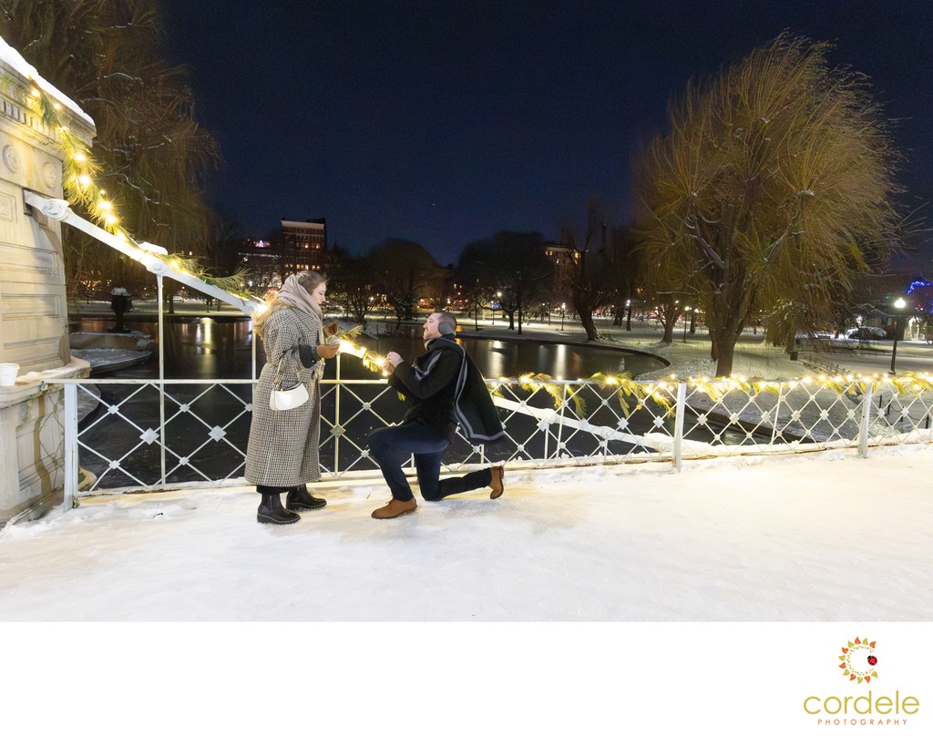 Boston Proposal at Night