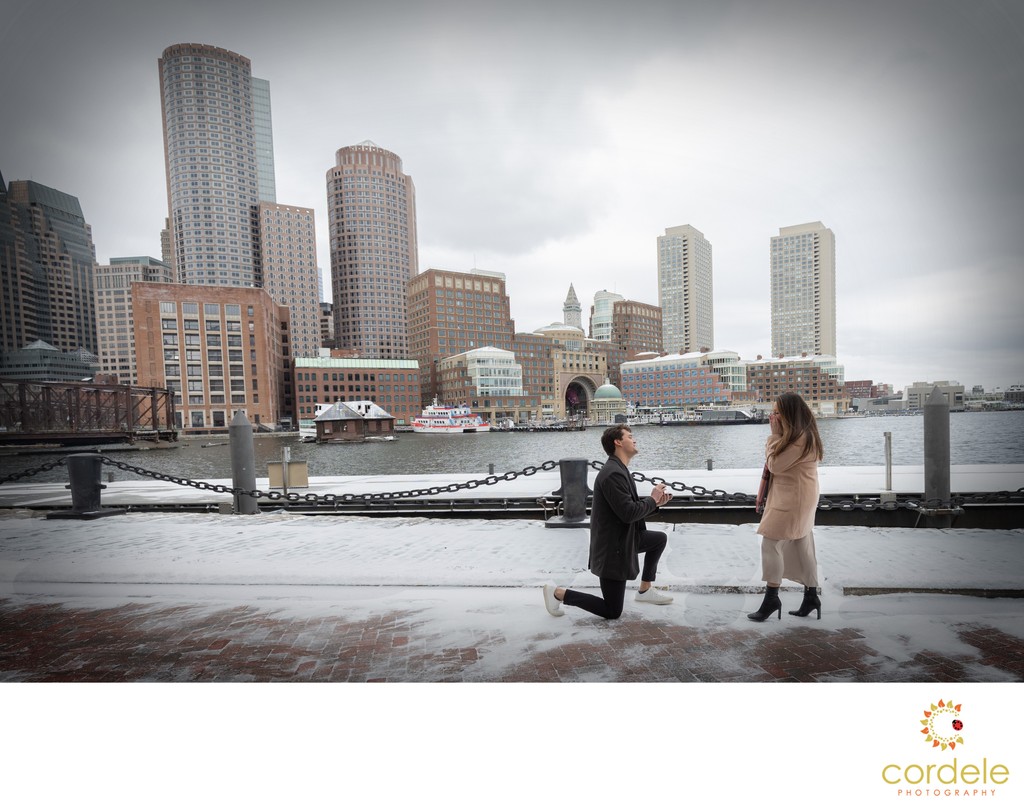 Boston Suprise Proposal in Winter