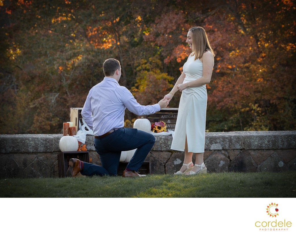 Fall Suprise Engagement  Proposal Sharon MA