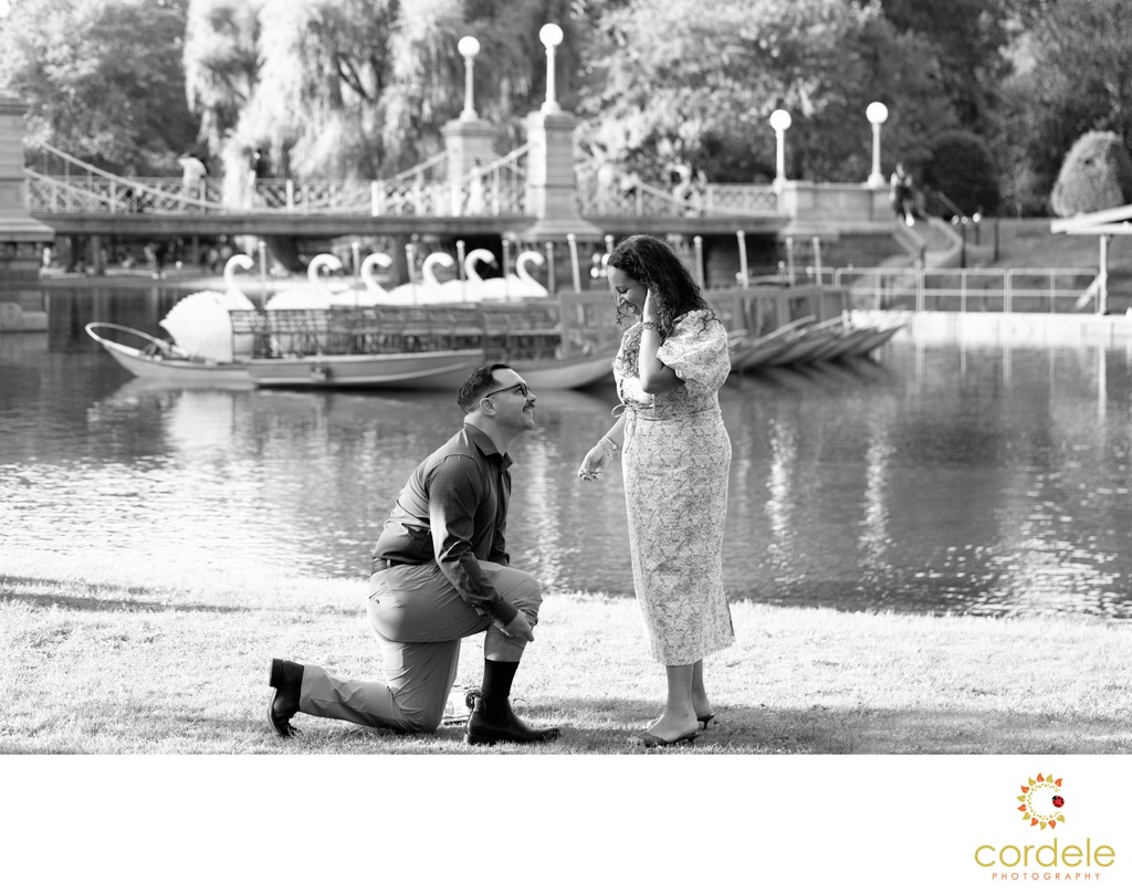 Boston Surprise Proposal Engagement Locations
