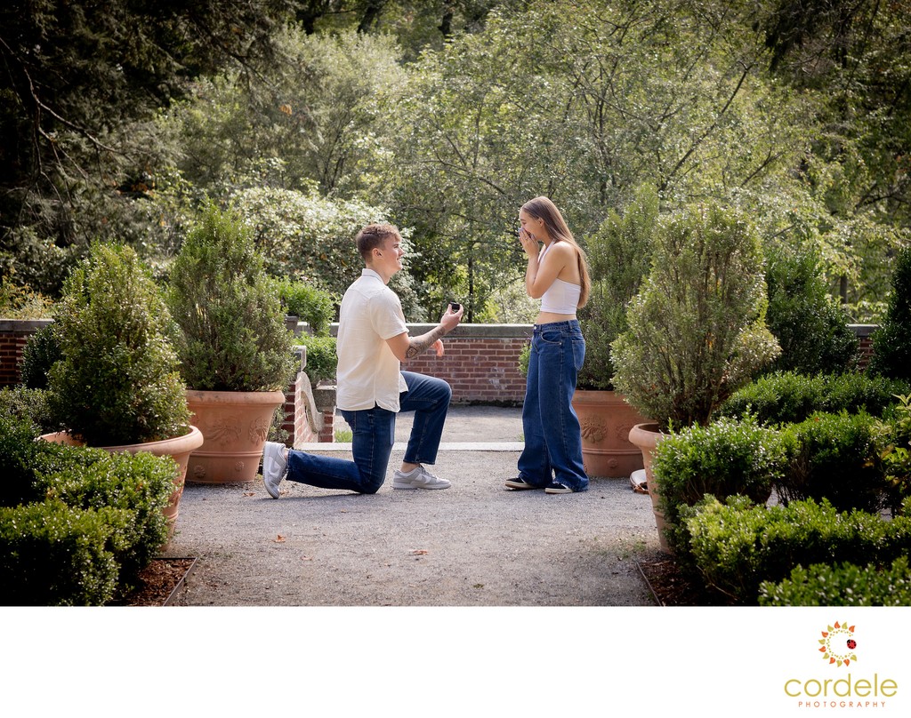 Massachusetts Proposal Photographer