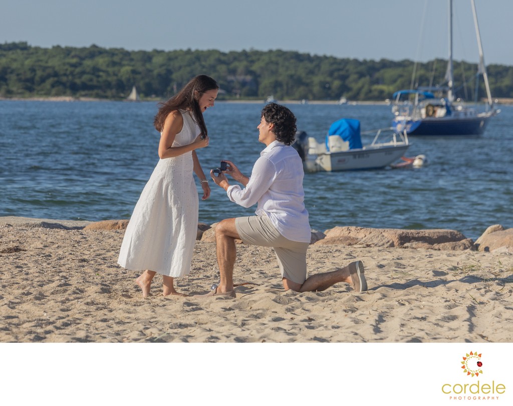 Cape Cod Proposal Photographers