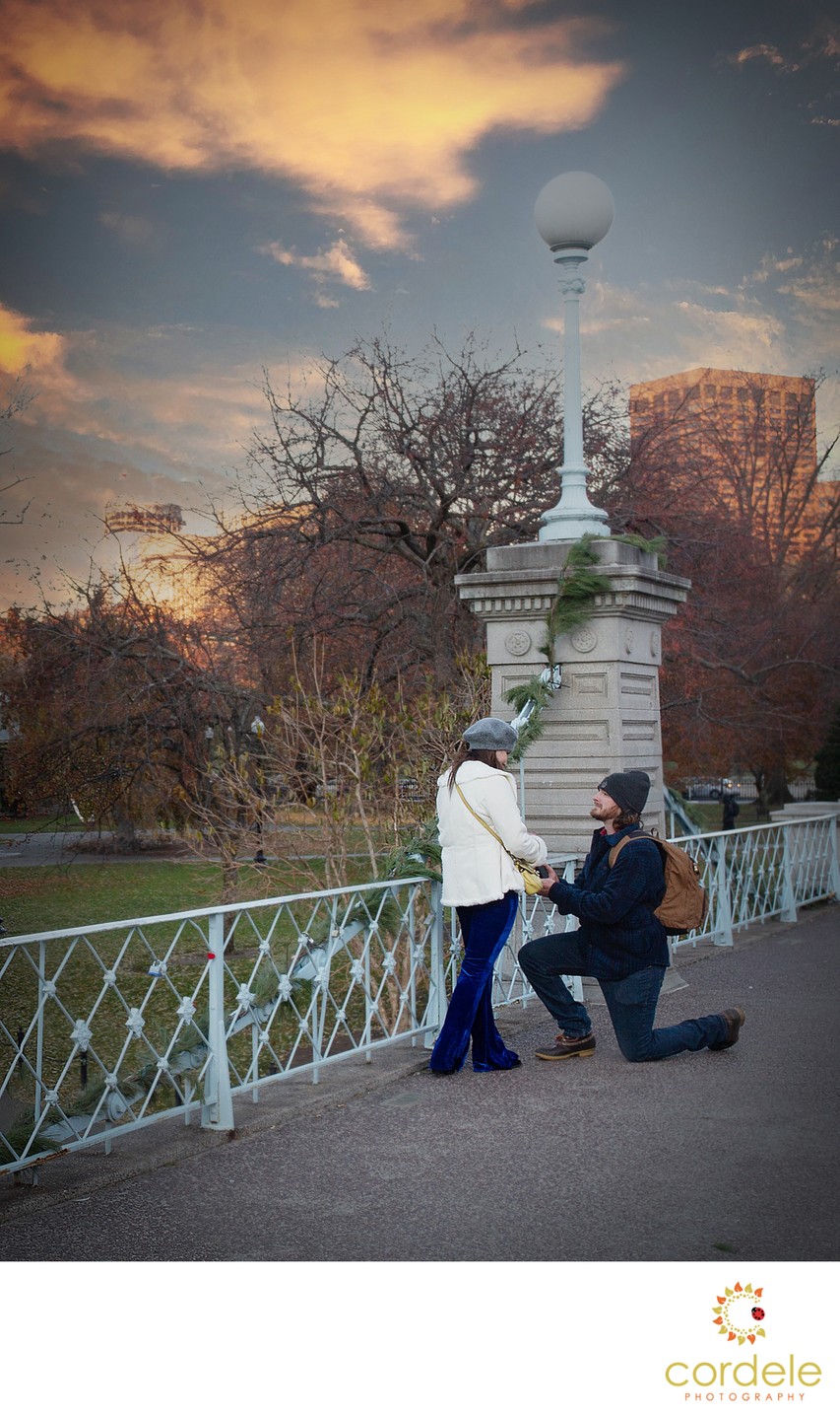 Boston Public Garden Footbridge Surprise Proposal and Engagement Photos