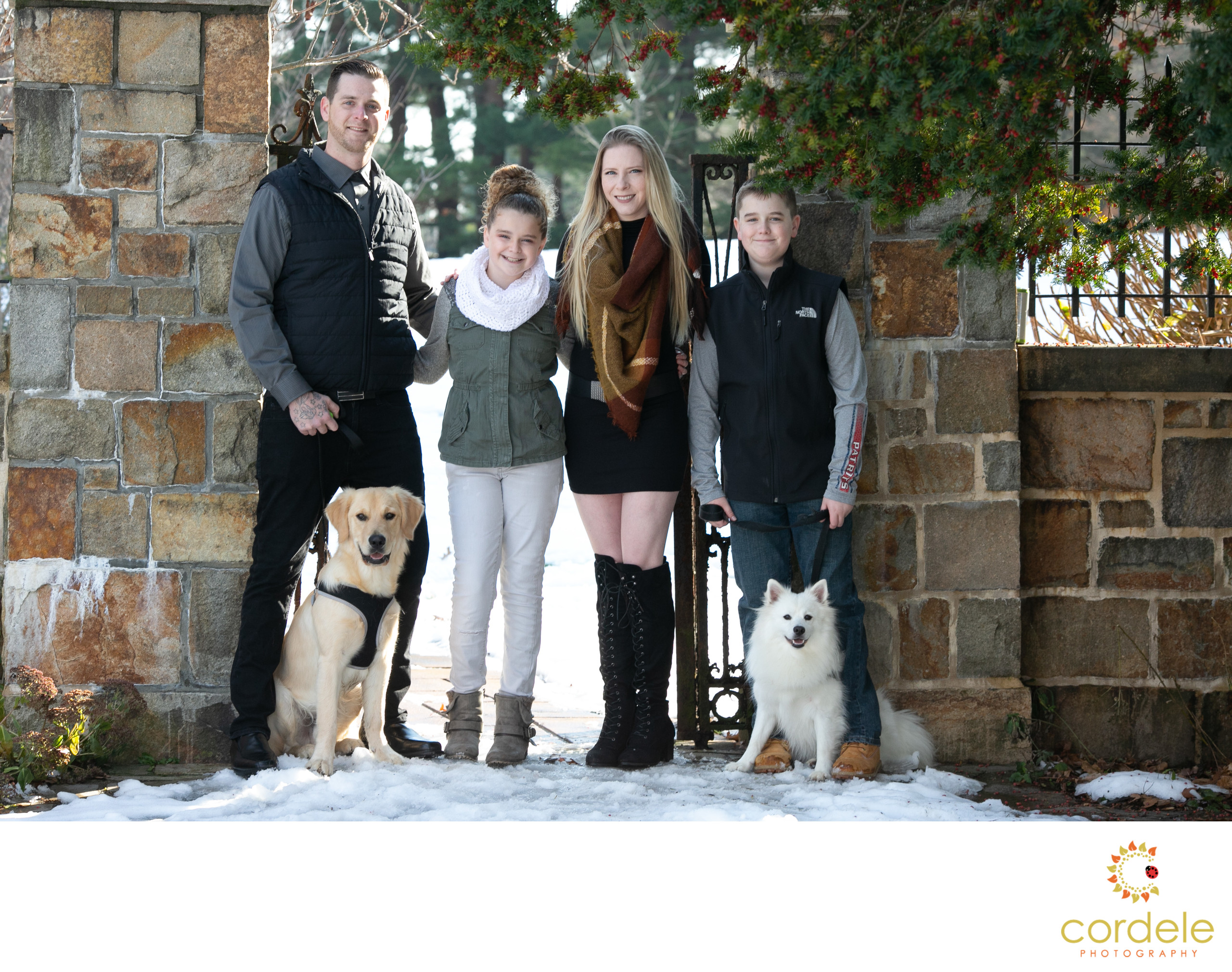 Family portraits with dogs walpole ma - Favorite Portraits - Cordele 