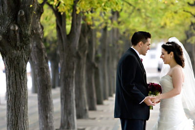 Colonnade Hotel Wedding Photographers