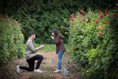 Boston Engagement Photographer