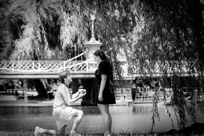 Public Garden Proposal Photographer