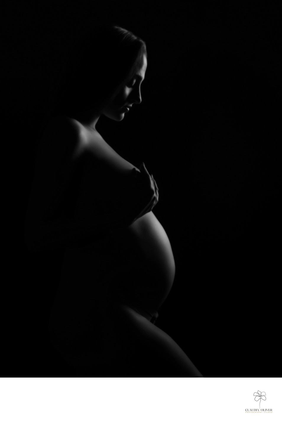 Nude Pregnancy photos in Miami