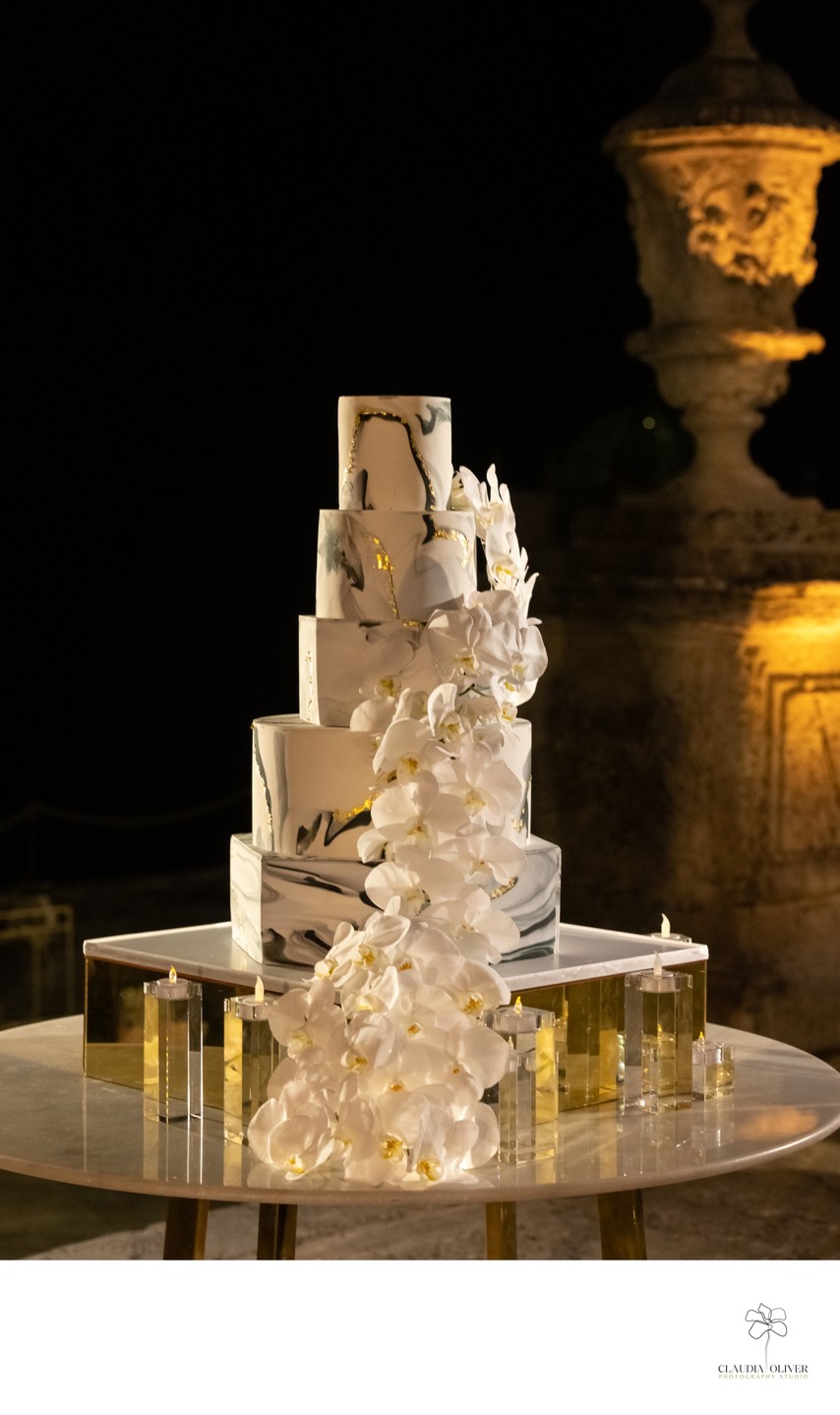 A Wedding Cake with a view at Vizcaya Museum