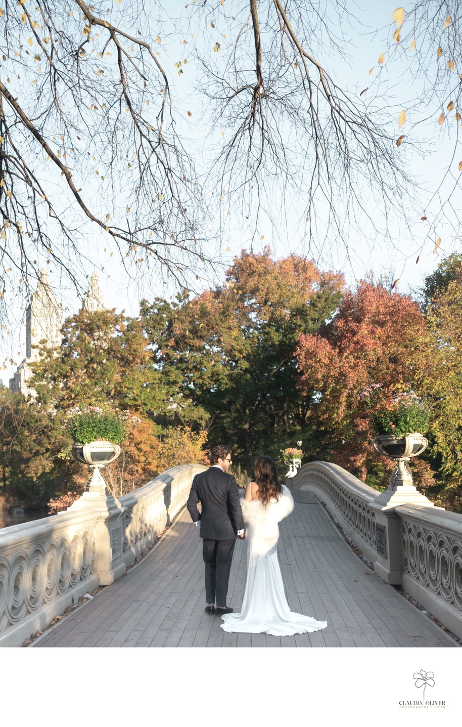 NYC Engagement Photographer: Bow Bridge Central Park NYC