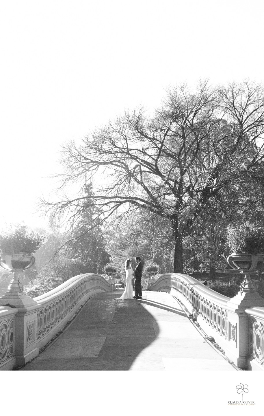 Central Park Engagement Pictures