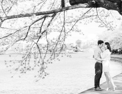 washington-dc-cherry-blossom-engagement-photos-