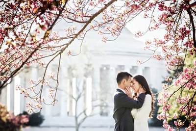 DC Engagement Photographer: Cherry Blossom Engagement Photos