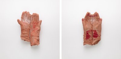 Individual Gloves ,  2 