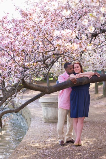 Engagement in Cherry Blossom