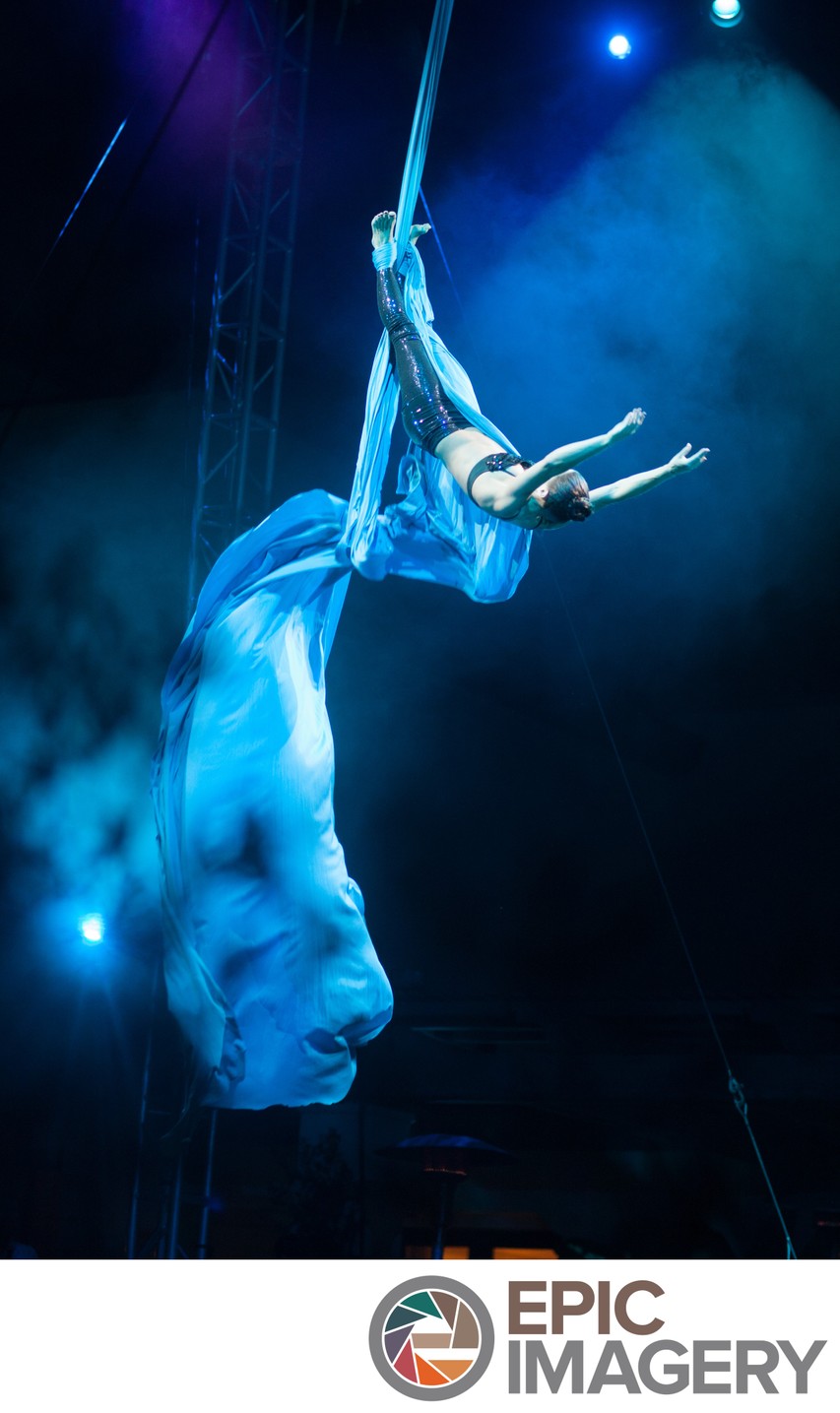 Entertainment Performed at Corporate Social Dinner
