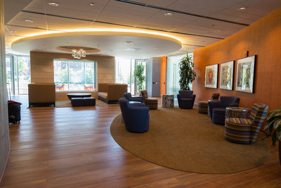 Chicago Luxury Apartment Interior Architecture