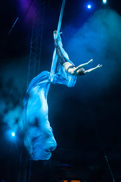 Entertainment Performed at Corporate Social Dinner