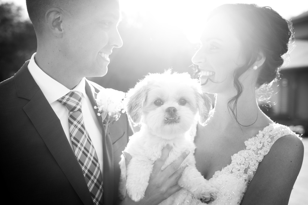 Bride Groom and Dog: Wedding Day