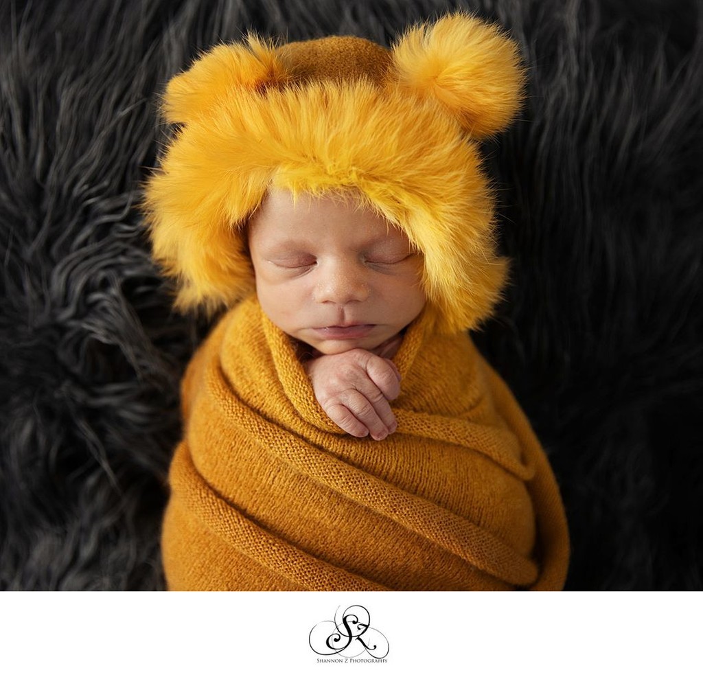 Baby Bear: Newborn Photography