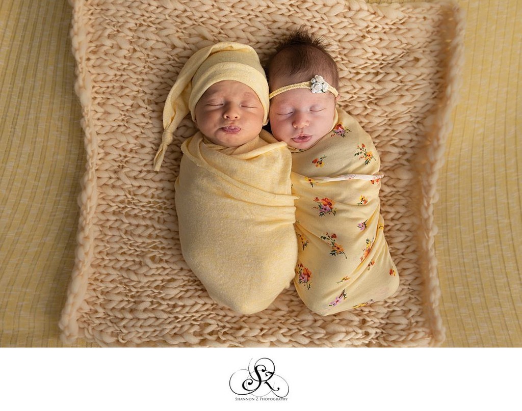 Newborn Twins : Kenosha Photographer