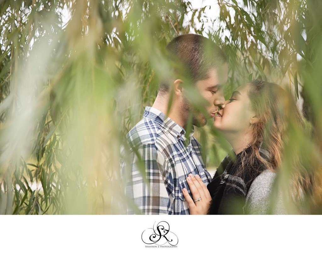 Engagement: Willow Tree Kiss