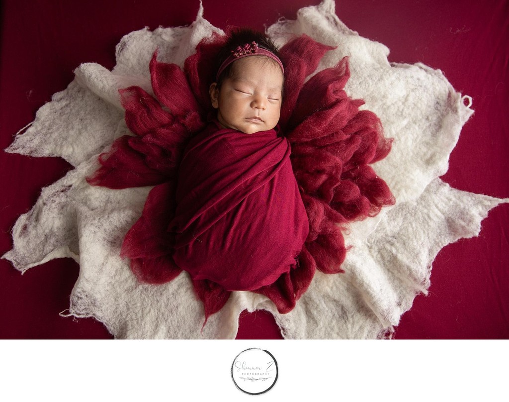 Kenosha Newborn Photographer: Red Props