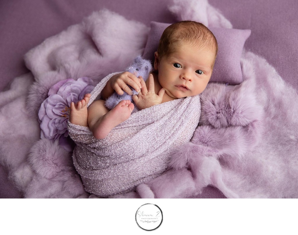 Lovely Lavender : Kenosha Newborn Studio