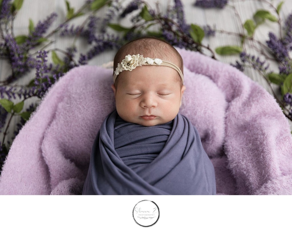 Lavenders : Kenosha Newborn Studio