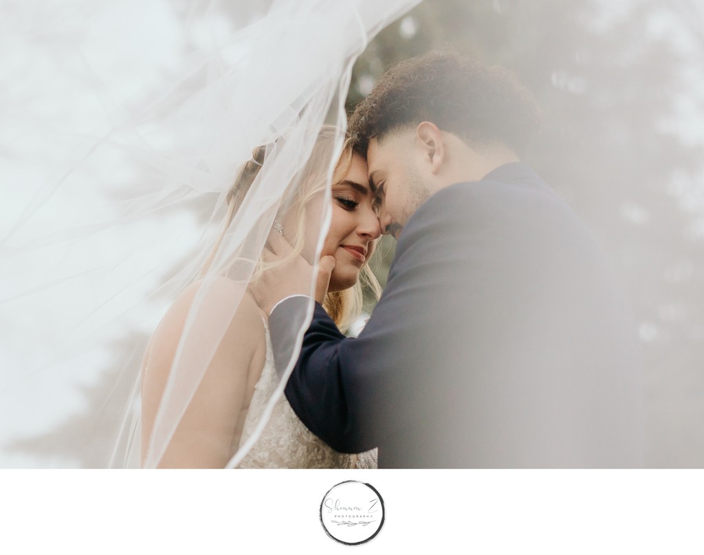 Veil Love: Bride and Groom