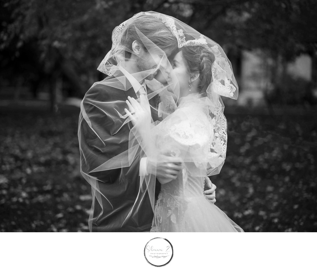 Veil: Wedding Photo