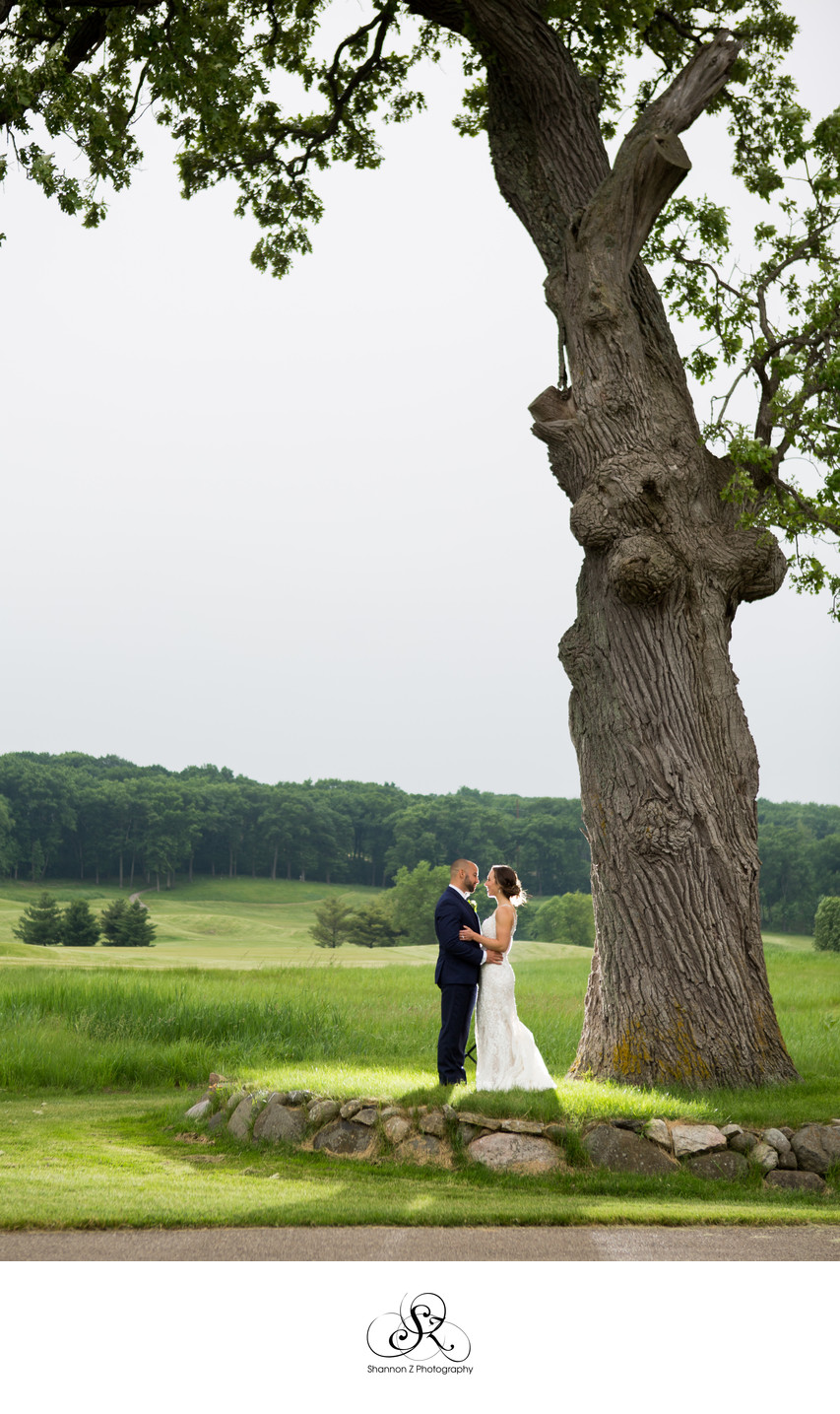 Old oak Tree: Wedding Day Photos