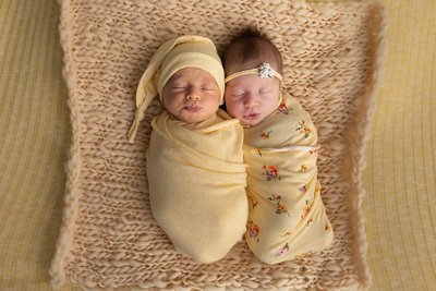 Newborn Twins : Kenosha Photographer