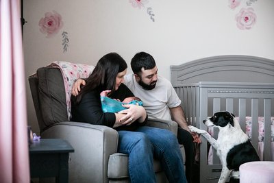 Fur Sister : In Home Newborn Photos