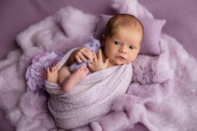 Lovely Lavender : Kenosha Newborn Studio