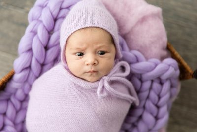 Baby Girl in Purples : Kenosha Newborn Studio