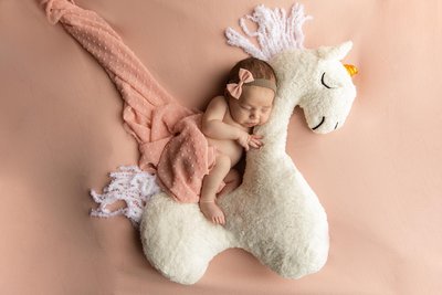 Unicorn Dreams : Kenosha Newborn Studio