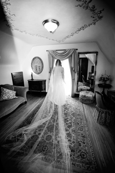Veil: Weddings at the Grove