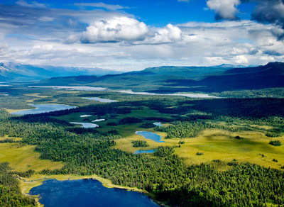 Alpine lakes and forest, in Denali National Park