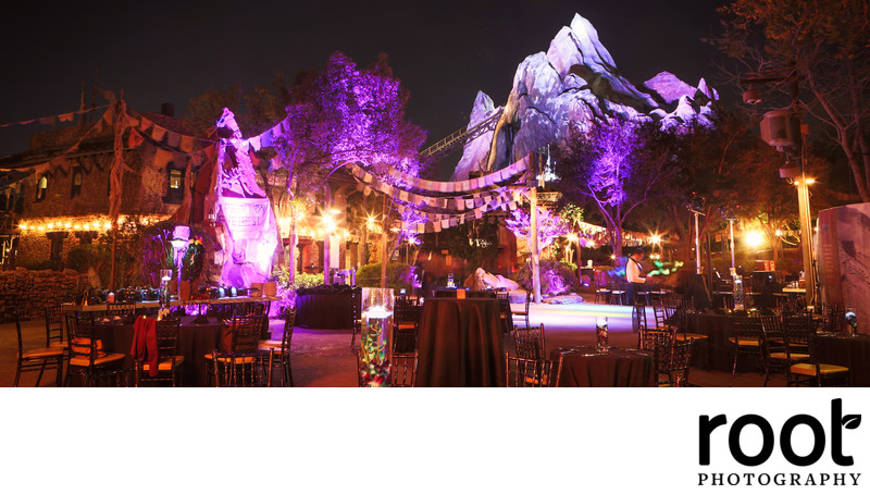 Animal Kingdom Wedding Reception