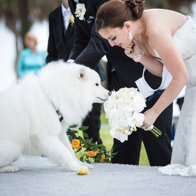 The Birchwood Wedding in St. Petersburg, FL