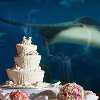 Disney Wedding Cake at Living Seas Salon Epcot 