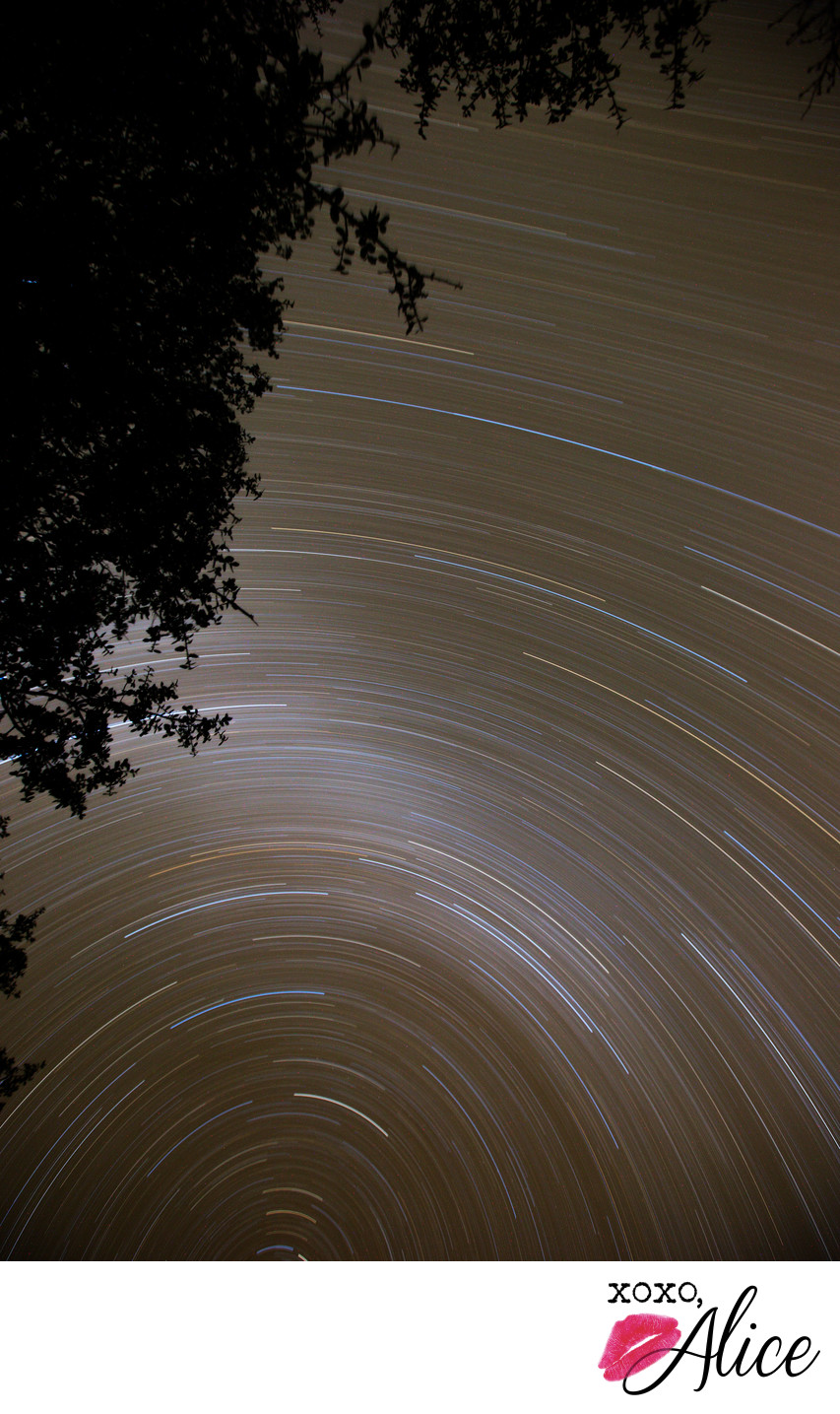 Star Trails as seen from Bright Angel campground GCNP