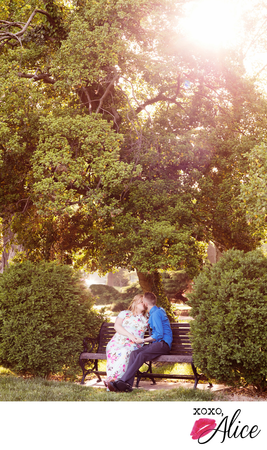 romance on the bench mom and dad maternity photography