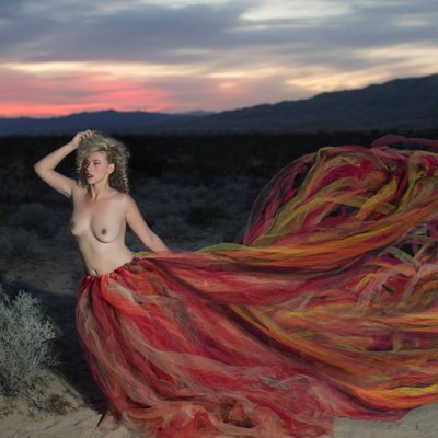 tulle skirt flows at sunset in the mojave desert